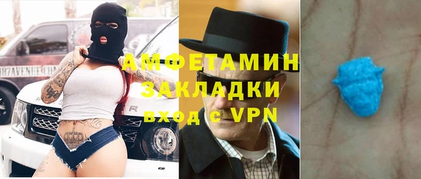 индика Бородино