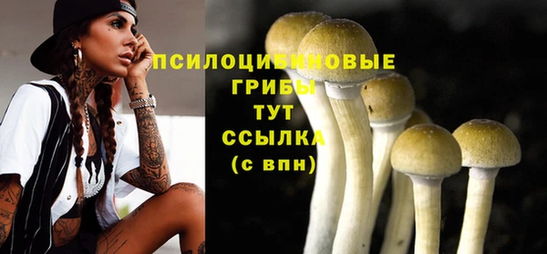 индика Бородино