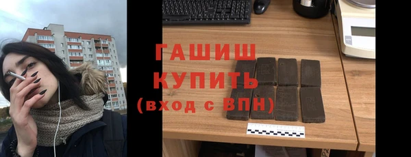 индика Бородино