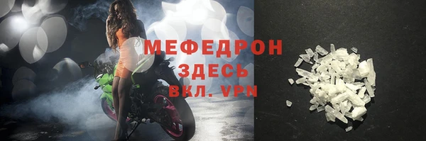 индика Бородино
