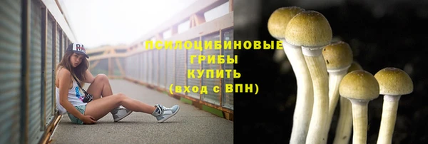 каннабис Богданович