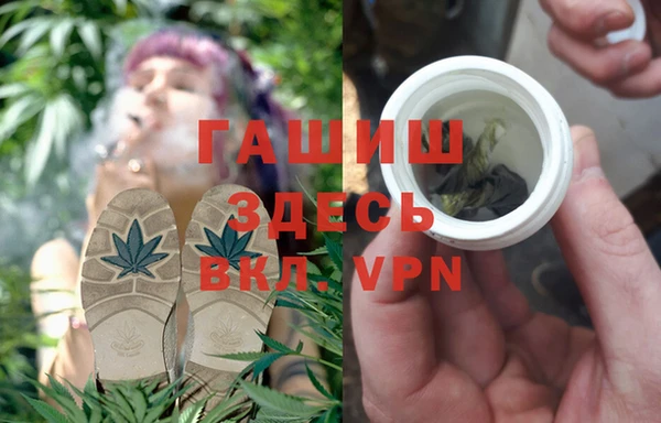 индика Бородино