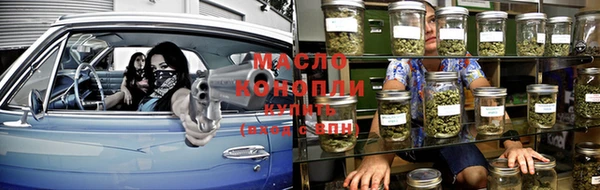 индика Бородино