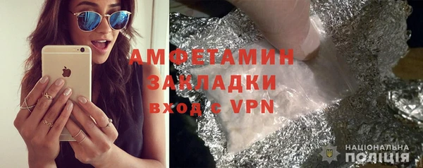 индика Бородино