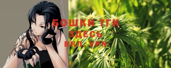 индика Бородино